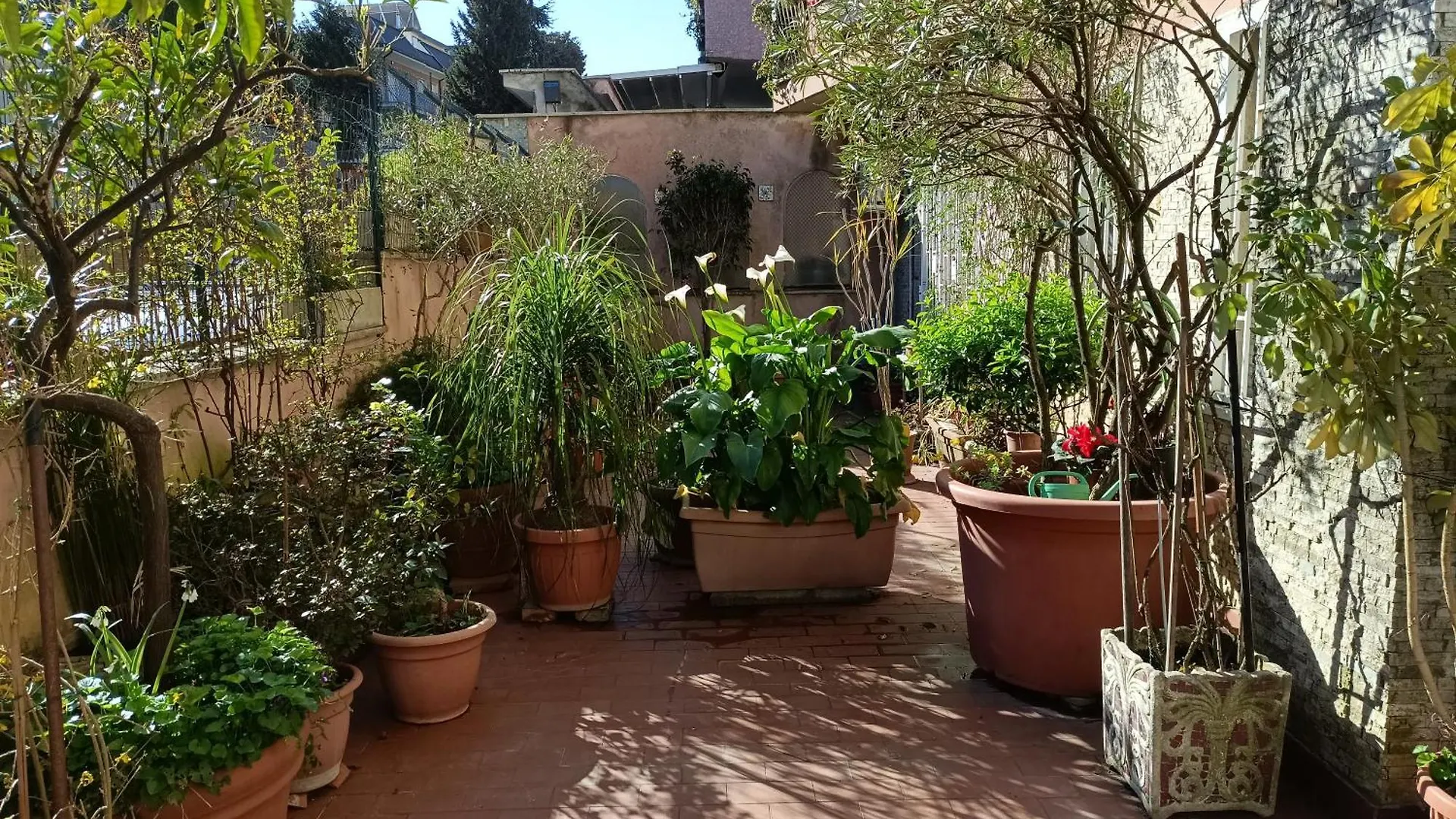 Apartment Vatican Treasure Garden Rome