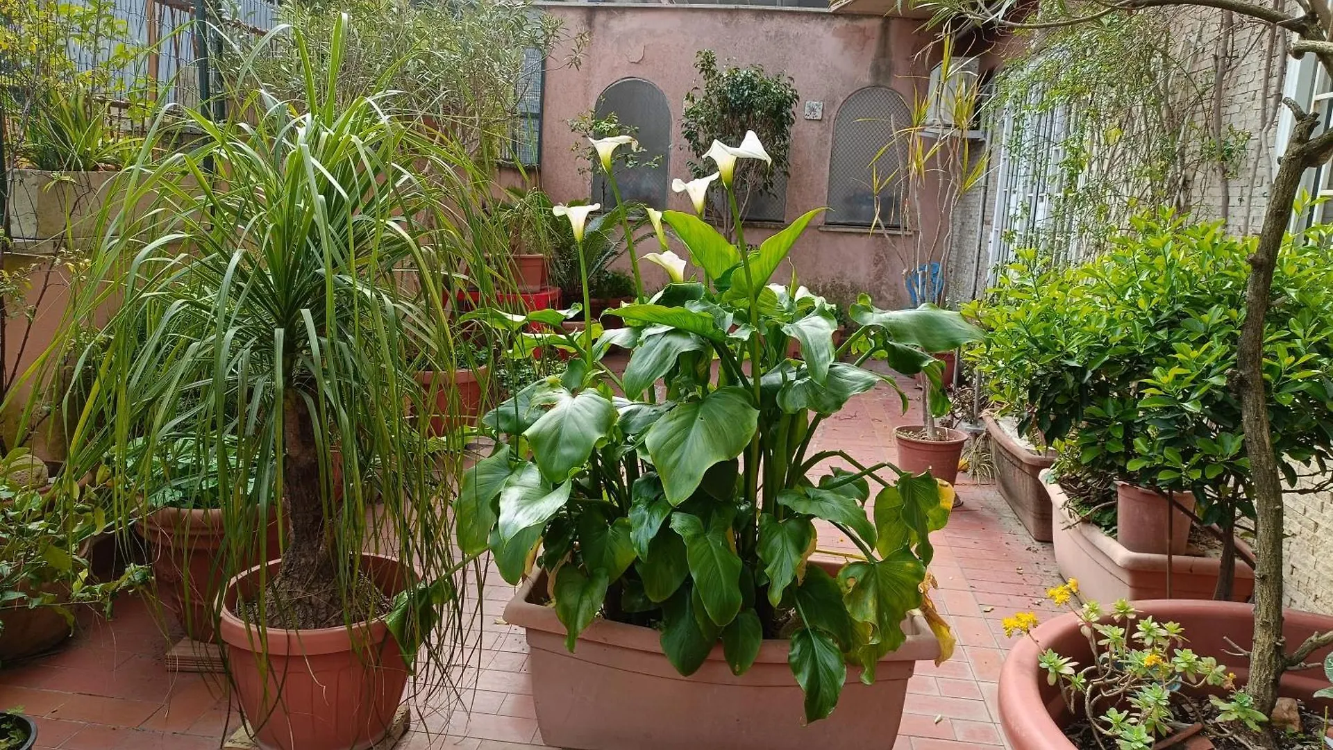 Vatican Treasure Garden Rome Apartment